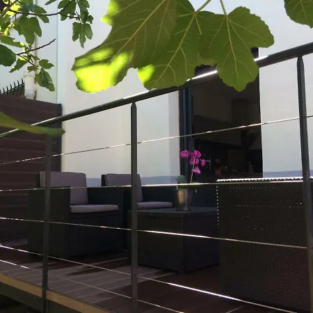 Les Terrasses De Camille * Carcassonne